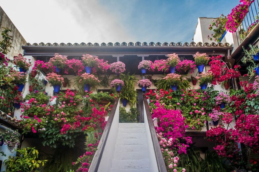 Córdoba: Guided Tour of the Patios - Inside courtyards usually kept private