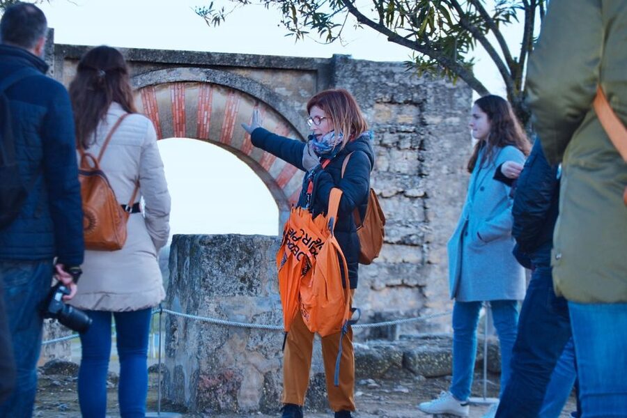 Cordoba: Half-Day Medina Azahara Guided Tour - Is $18 good value?