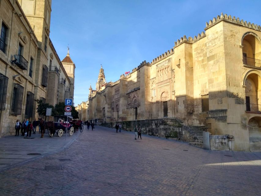 Córdoba Highlights Walking Tour - Alcázar, Baños Califales and the old-town lanes
