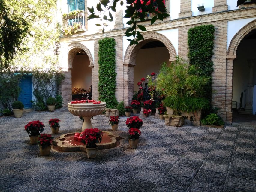 Córdoba Highlights Walking Tour - What a local guide adds