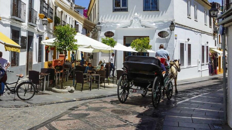 Cordoba: Historical Monuments of Cordoba City Walking Tour - The Mosque-Cathedral: a powerful final stop