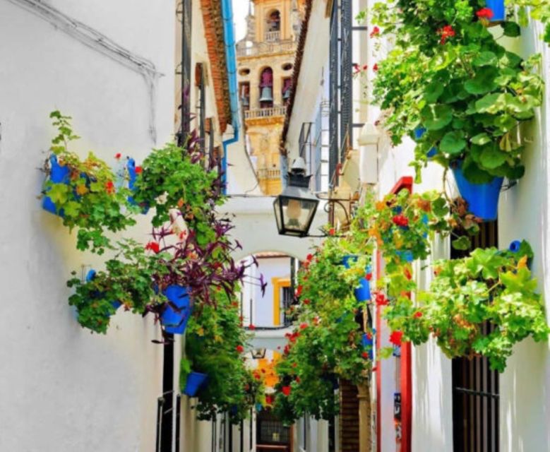Cordoba: Historical Monuments of Cordoba City Walking Tour - Starting at the Alcázar of the Catholic Monarchs