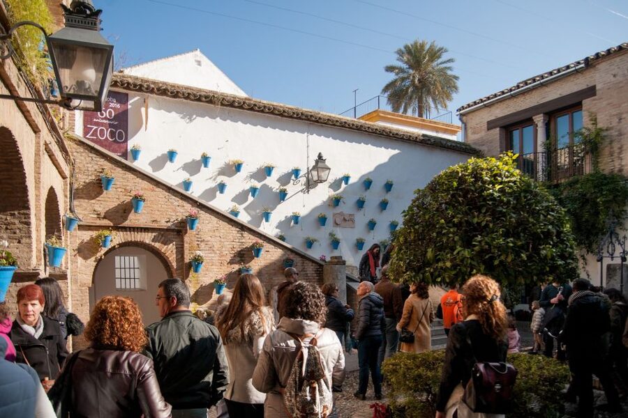 Cordoba: Jewish Quarter and Mosque-Cathedral Guided Tour - Is $45 good value?