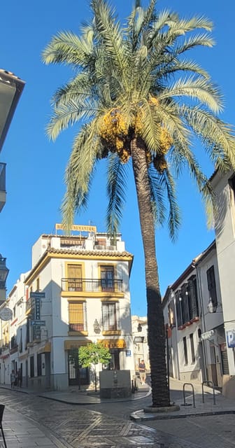 Córdoba Mid-Morning Walk - Small Groups, Native English. - The Roman Bridge and the watermill