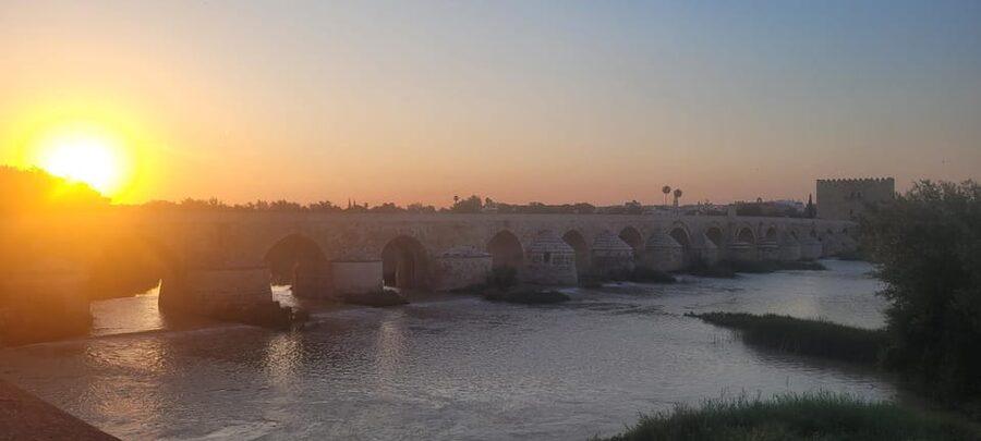 Córdoba Mid-Morning Walk - Small Groups, Native English. - What $33 buys you