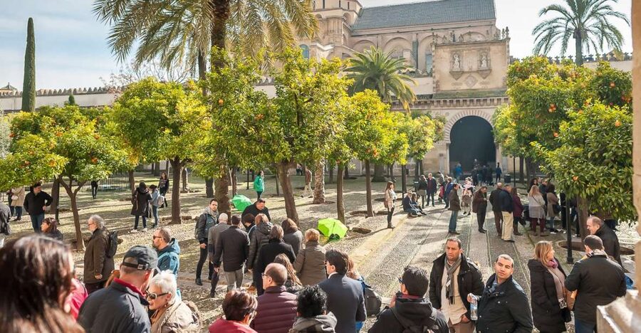Cordoba: Monuments Walking Tour - A Brief Visit to the Córdoba Synagogue
