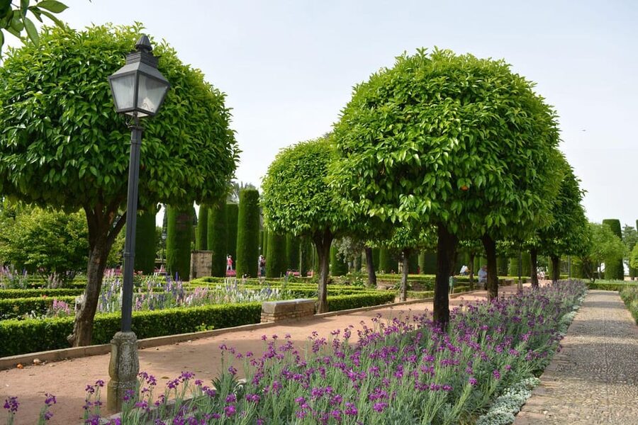 Cordoba: Monuments Walking Tour - How the $66 Price Adds Up