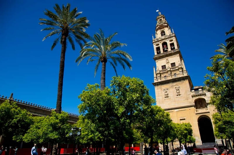 Córdoba: Mosque-Cathedral, Jewish Quarter and Alcázar Tour - What the guide adds, and how the pace feels