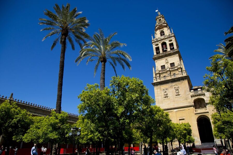 Córdoba: Mosque-Cathedral, Jewish Quarter and Alcázar Tour - Practical details before you book