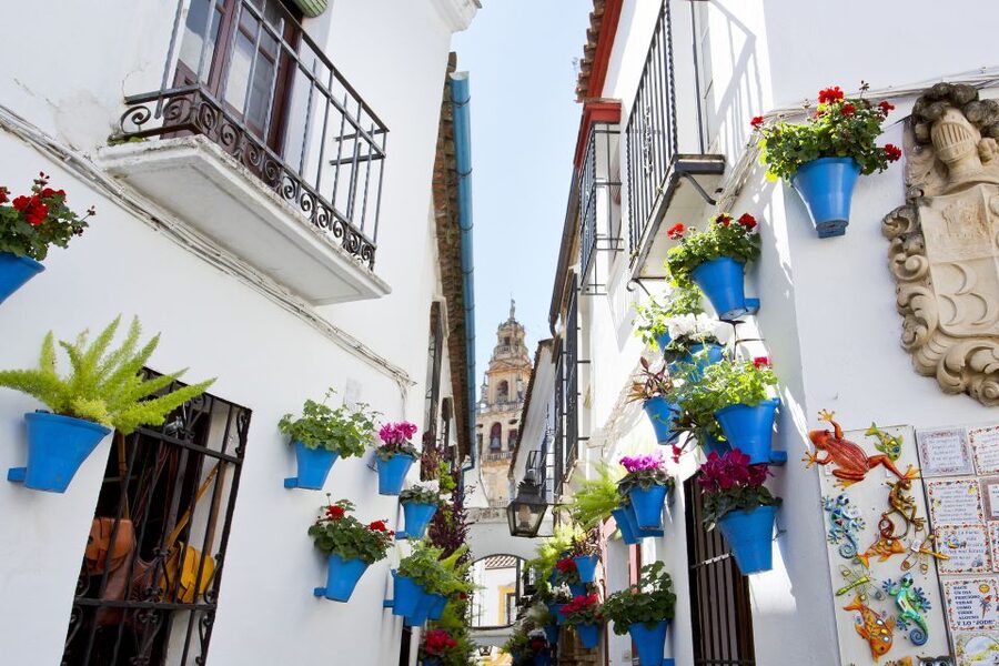 Cordoba Mosque & Jewish Quarter Tour with Tickets - Why a guide adds real value here