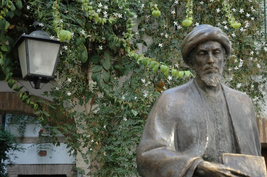 Cordoba Mosque & Jewish Quarter Tour with Tickets - What the ticket benefit does and does not mean