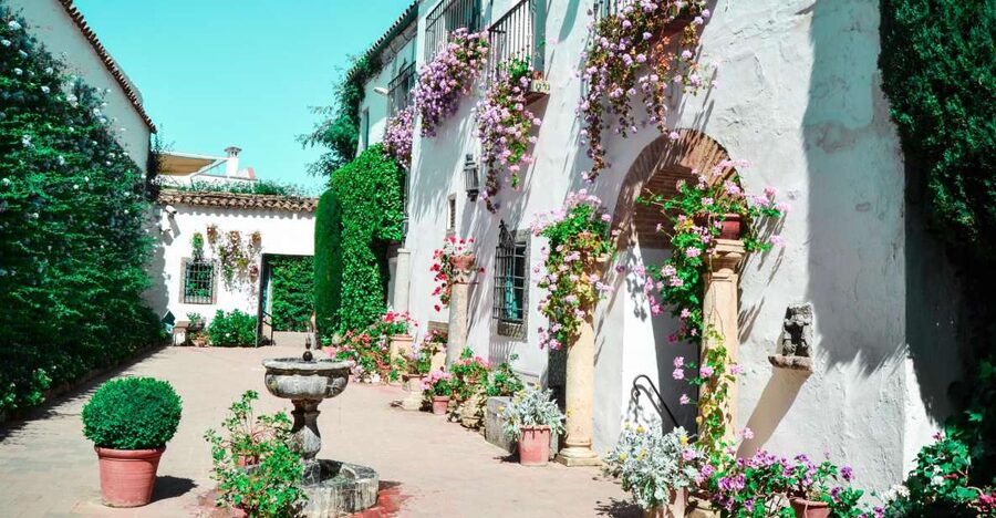 Cordoba: Patios and Viana Palace Tour - Twelve patios, twelve different moods