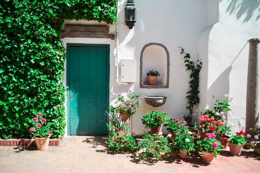 Cordoba: Patios and Viana Palace Tour - The guide makes the difference