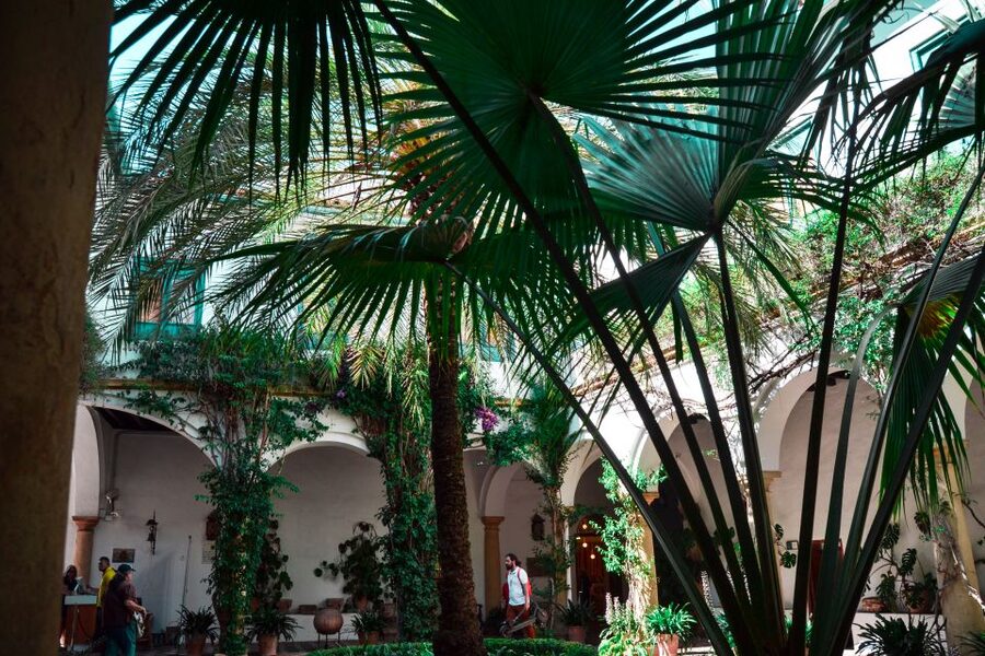 Cordoba: Patios and Viana Palace Tour - What two hours and $40 get you