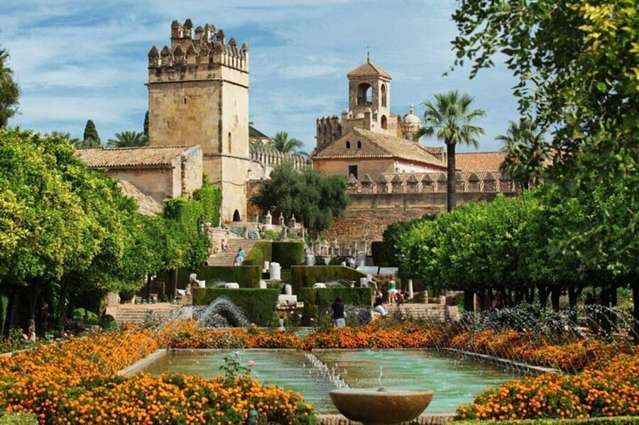 Cordoba : Patios Private Walking Tour - Córdoba’s patios, beyond the flowers