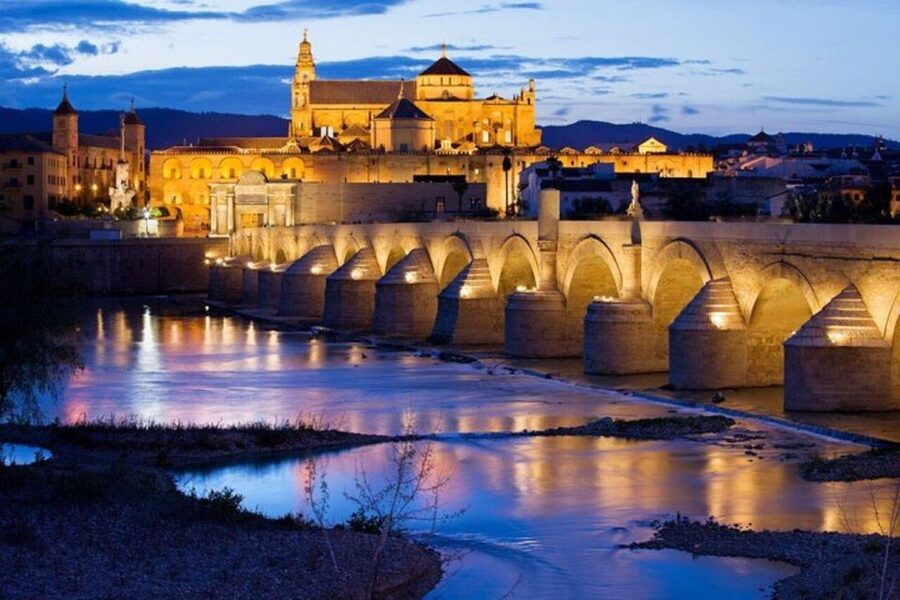 Cordoba : Patios Private Walking Tour - A Montilla-Moriles stop, with costs to consider