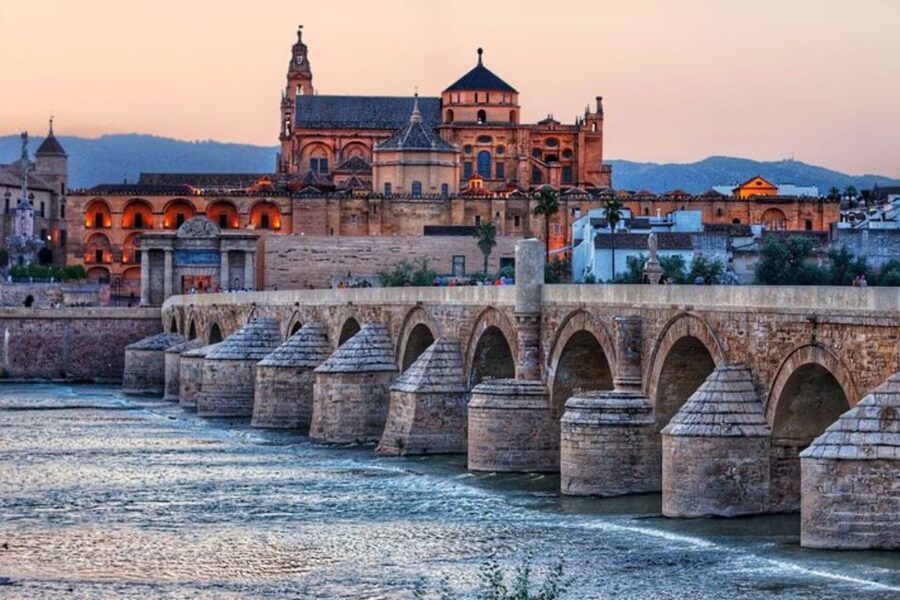 Cordoba: Private custom tour with a local guide - Local life beyond the monuments