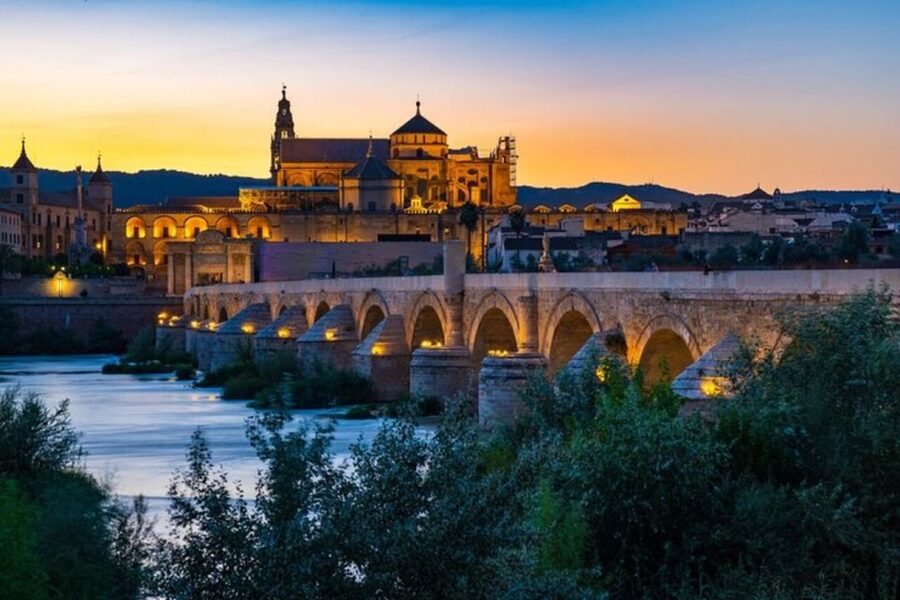 Córdoba: Private Mosque-Cathedral and City Tour - What a private tour changes