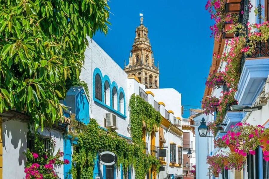 Córdoba: Private Mosque-Cathedral and City Tour - Practical details before you book