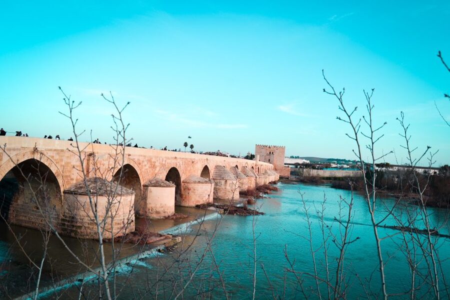Córdoba: Private Walking Tour - Should you book the Córdoba private walking tour?