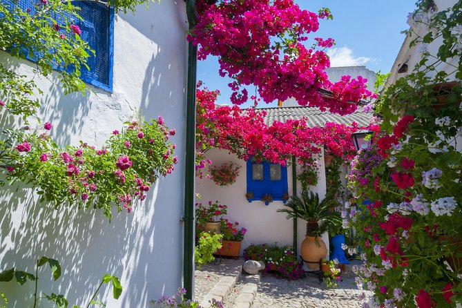 Cordoba's Authentic Patios: 2-Hour Tour with Tickets - Key points before you book