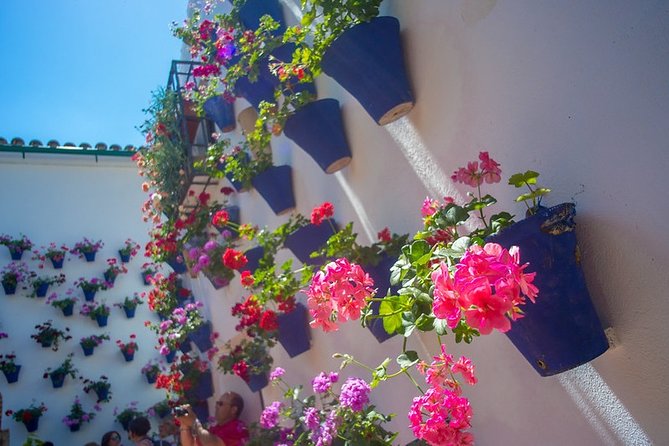 Cordoba's Authentic Patios: 2-Hour Tour with Tickets - What makes Córdoba’s patios worth seeing