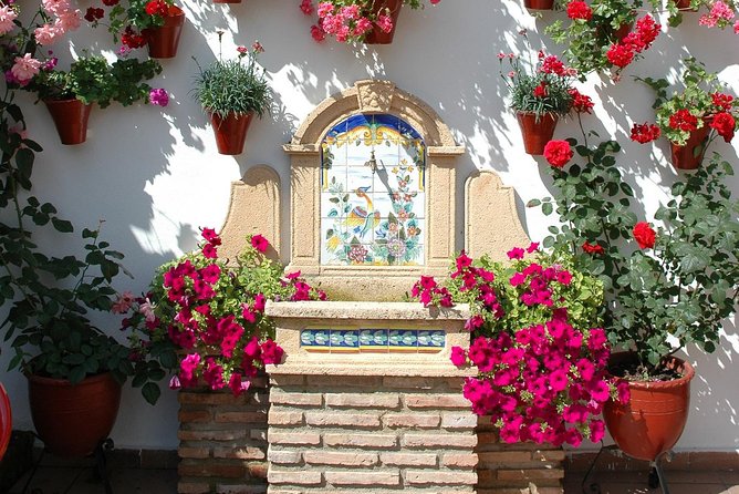 Cordoba's Authentic Patios: 2-Hour Tour with Tickets - What you learn from owners and guides