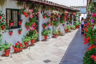 Cordoba’s Authentic Patios: 2-Hour Tour with Tickets