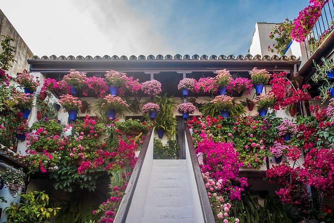 Cordoba's Authentic Patios: 2-Hour Tour with Tickets - Choosing the best time for flowers
