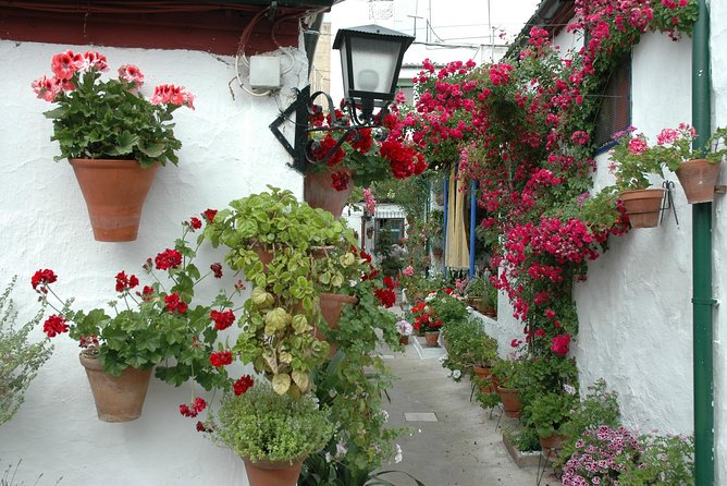 Cordoba's Authentic Patios: 2-Hour Tour with Tickets - Meeting point, finish, and practical details