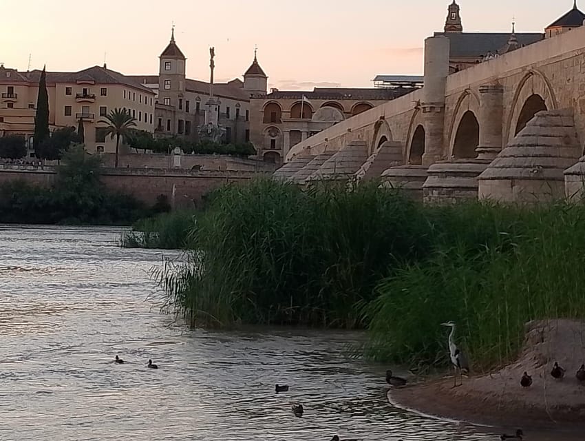 Córdoba: Tour of the three cultures to see the city in a day - Corredera Square and Plaza del Potro