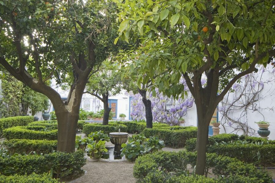 Córdoba: Viana Palace Gardens and Patios Entry Ticket - Why Viana Palace is worth a stop