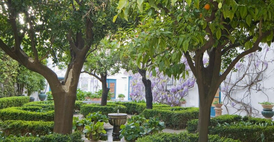 Córdoba: Viana Palace Gardens and Patios Entry Ticket - Start at the Viana Palace entrance
