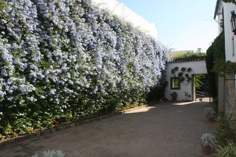 Córdoba: Viana Palace Gardens and Patios Entry Ticket - Take your time with the gardens
