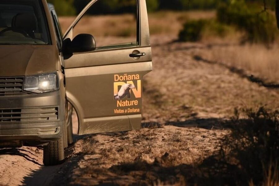 Discover Doñana & Iberian Lynx: Premium Nature Tour - Is $46 a fair price?