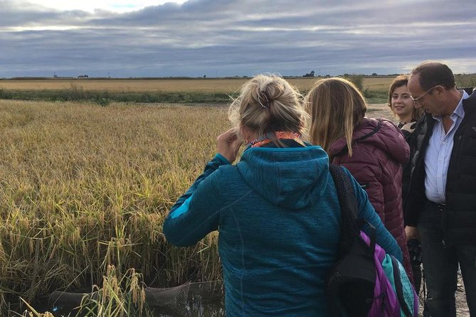 Donana National Park and El Rocío: Guided Tour from Seville - Lunch, dunes and the Atlantic