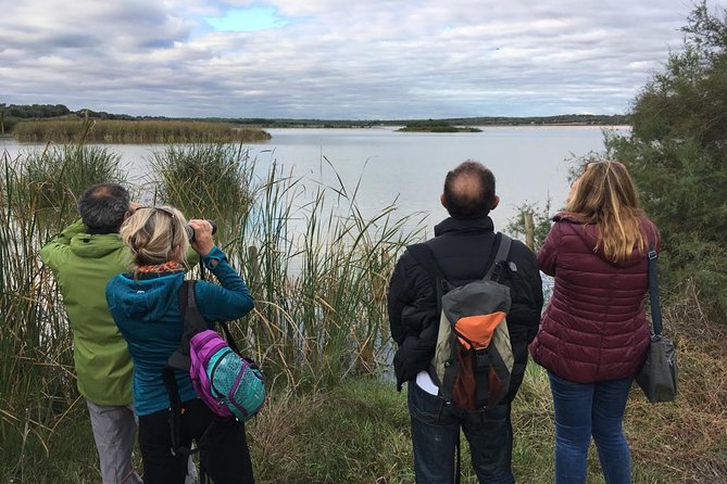 Donana National Park and El Rocío: Guided Tour from Seville - The 4x4 drive back, and the wildlife question