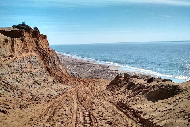 Donana National Park and El Rocío: Guided Tour from Seville - What $107.68 buys you