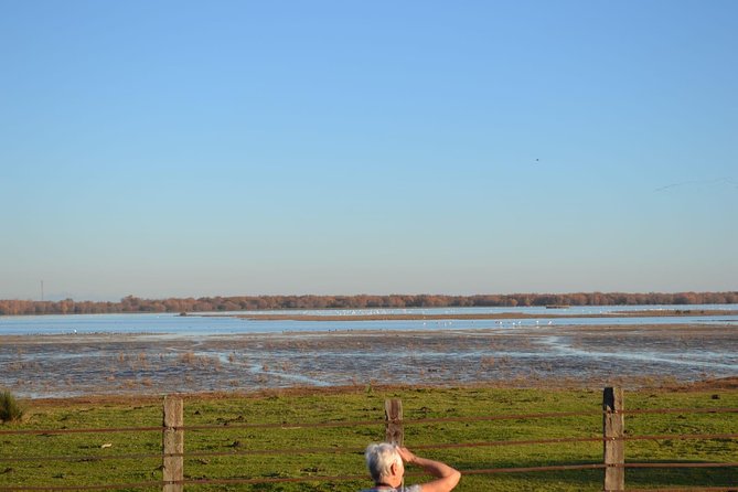Donana National Park and El Rocío: Guided Tour from Seville - Choosing the right season and setting expectations