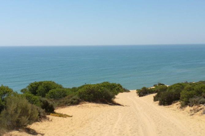 Donana National Park: Guided Day Tour from Seville - Who should take this day trip