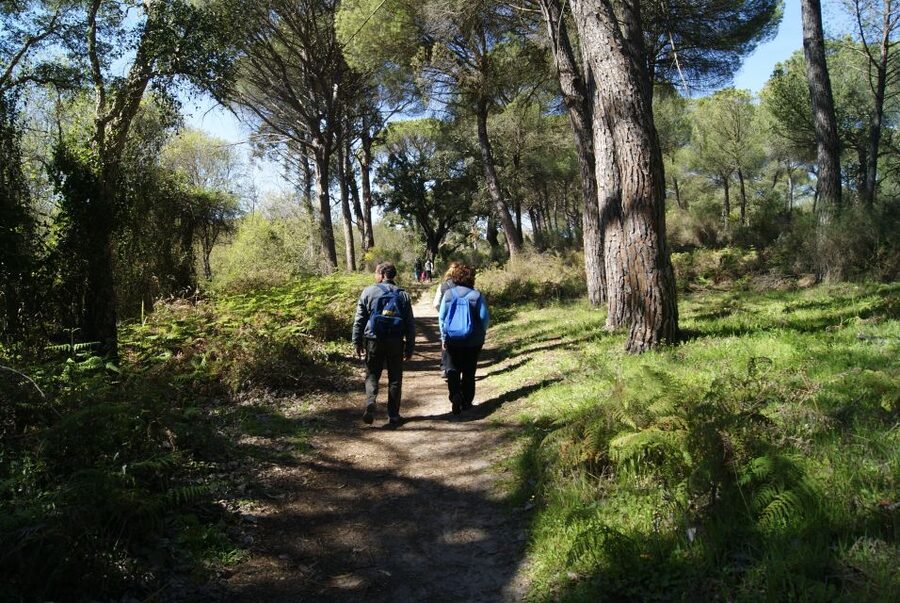 Doñana National Park Off-Road Tour from Seville - Why Doñana is worth a full day