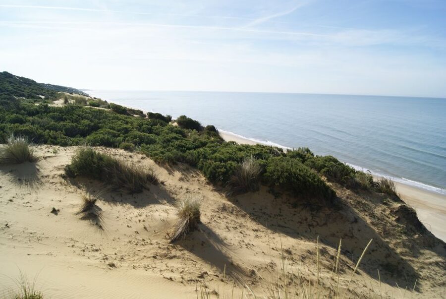 Doñana National Park Off-Road Tour from Seville - Free time in a pilgrimage town