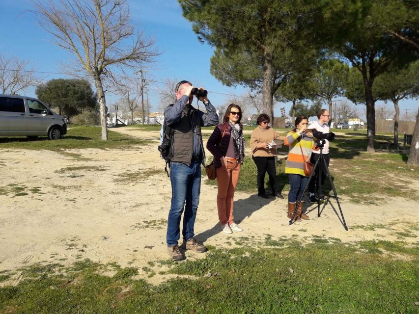 Doñana National Park Off-Road Tour from Seville - Should you book this Doñana tour?