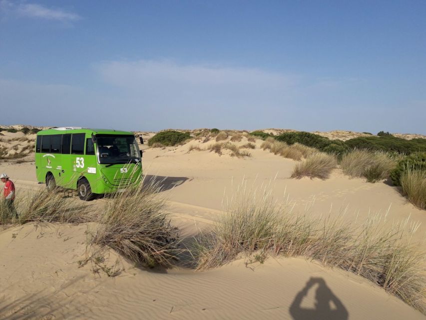 Doñana National Park Off-Road Tour from Seville - FAQ