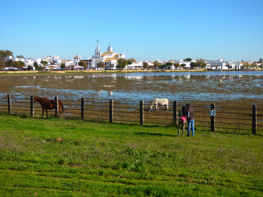 Doñana National Park Off-Road Tour from Seville - Into the protected reserve by 4WD