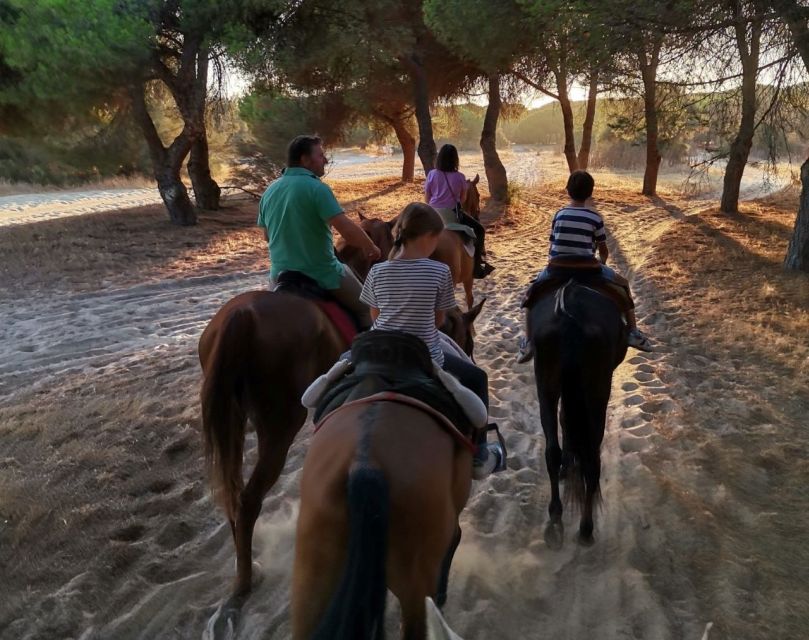 El Rocío: Doñana National Park Horseback Riding Tour - The details at a glance