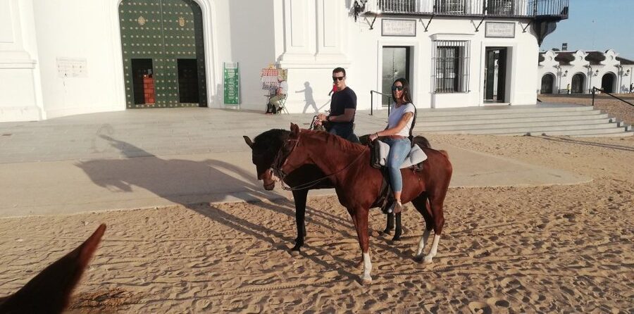 El Rocío: Doñana National Park Horseback Riding Tour - The seashore and dunes