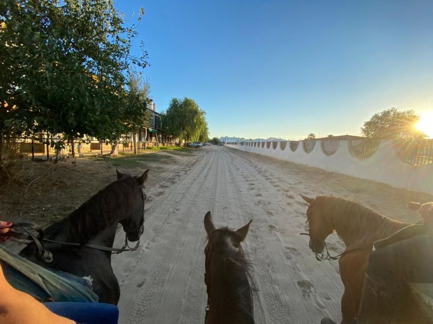 El Rocío: Doñana National Park Horseback Riding Tour - What the guide adds
