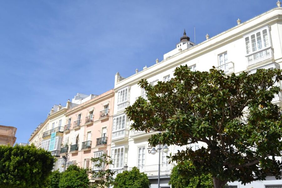 English Cádiz Tour: Walking Tour with Local Guide - FAQ