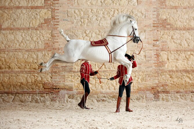 Equestrian Show Royal Stables of Córdoba - Choosing a Seat That Suits You